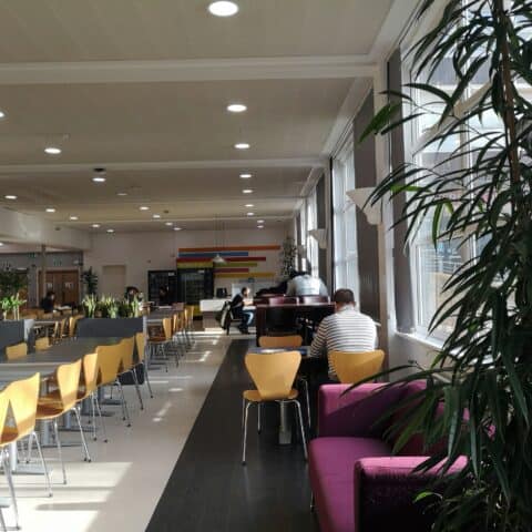 Summer visual data 7