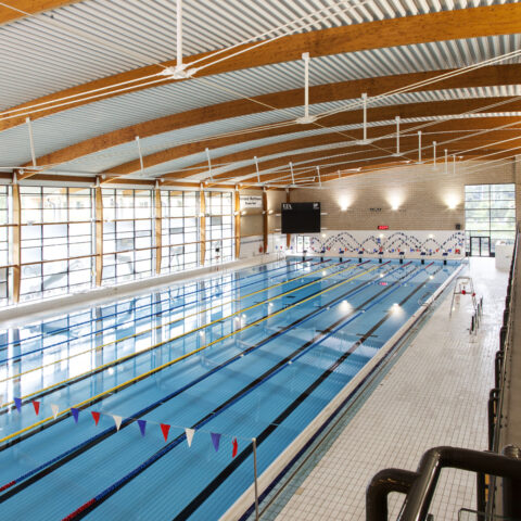 Aug15_CopyrightSportspark_50m_Pool_N_A_16387